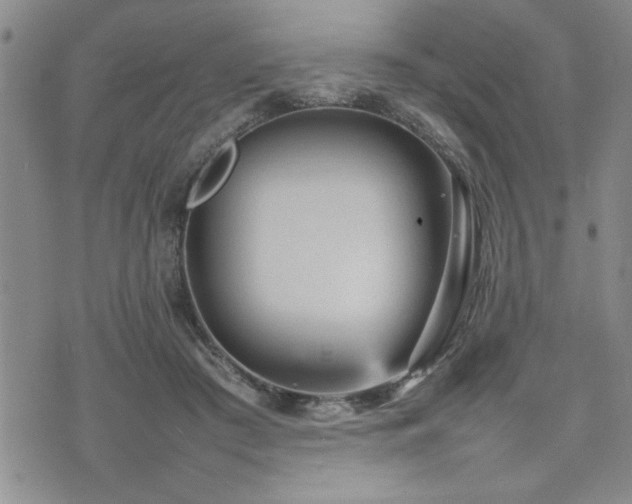 X0000074930409200609011055