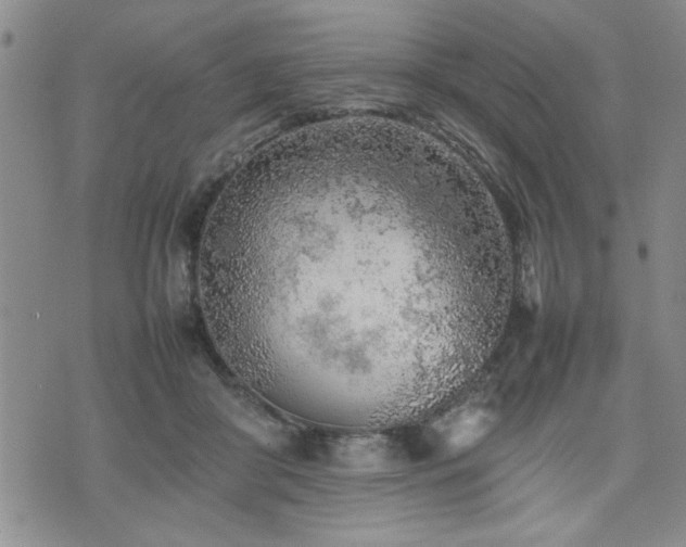 X0000074930410200609011055