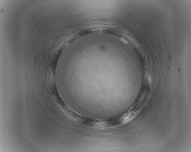 X0000074930411200609011055