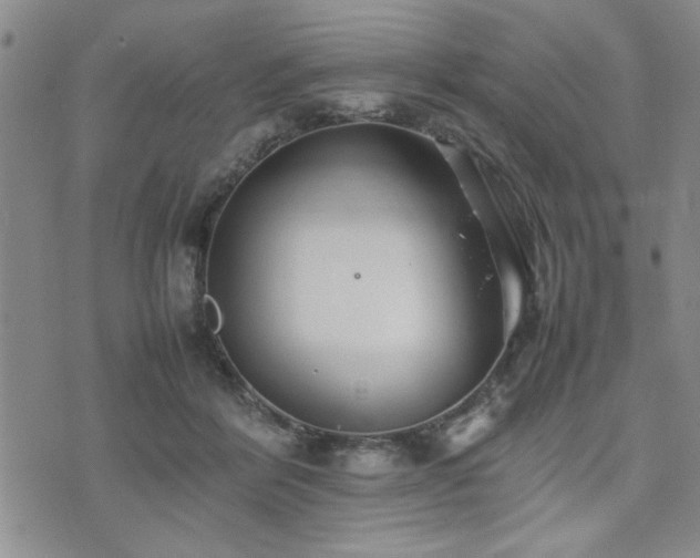 X0000074930412200609011055