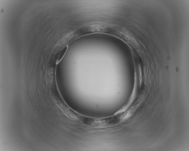 X0000074930413200609011055