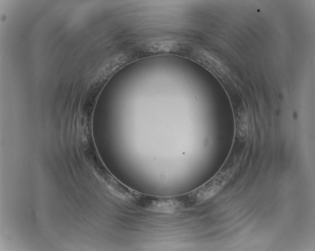 X0000074930414200609011055