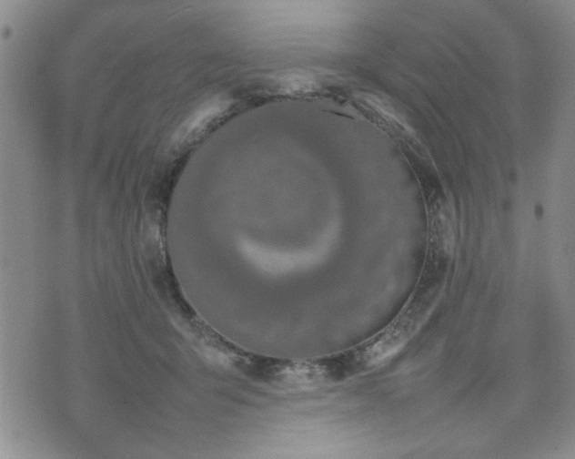 X0000074930415200609011055