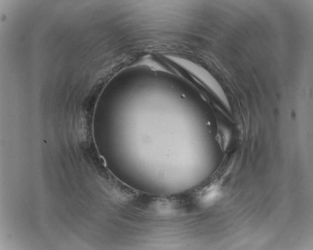 X0000074930416200609011055