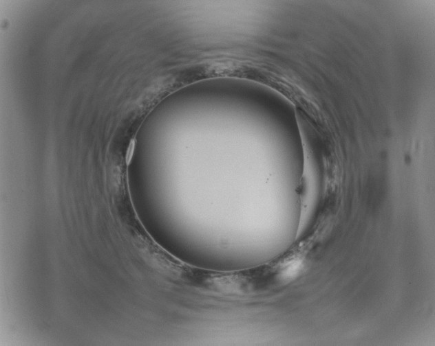 X0000074930417200609011055