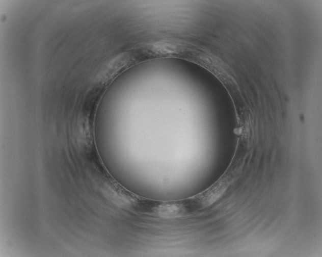 X0000074930418200609011055