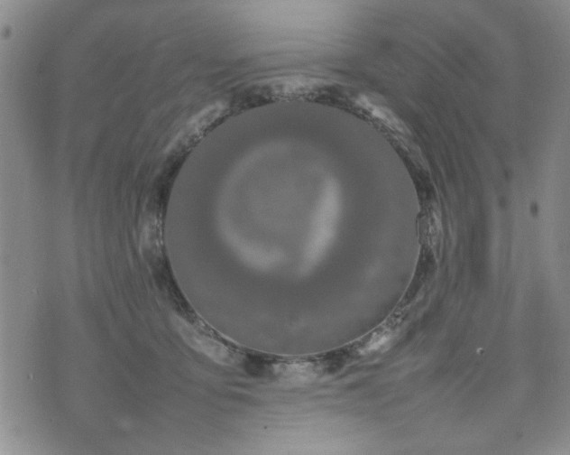 X0000074930419200609011055