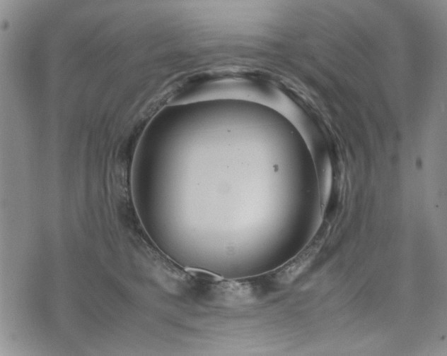 X0000074930421200609011055