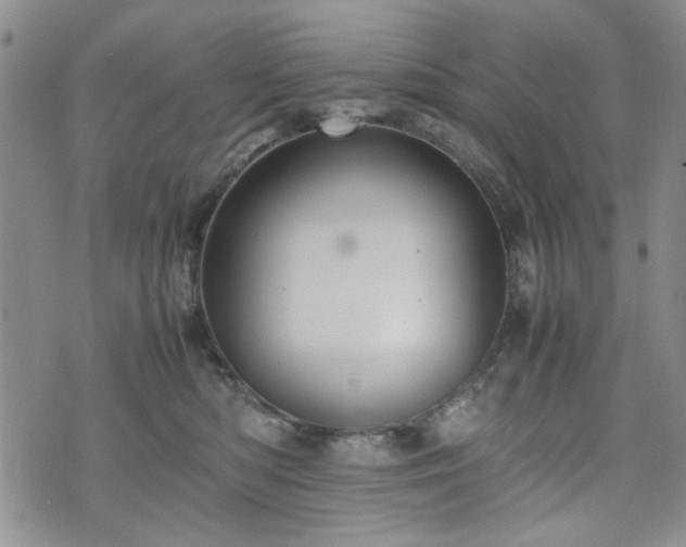 X0000074930422200609011055