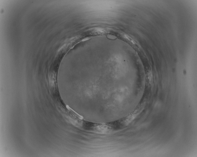 X0000074930423200609011055