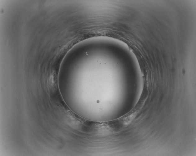 X0000074930424200609011055