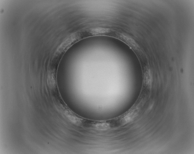 X0000074930426200609011055