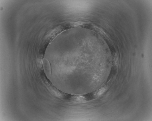 X0000074930427200609011055