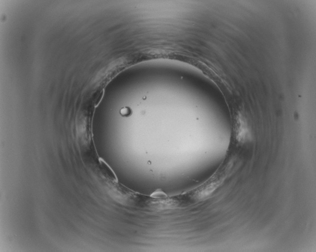 X0000074930428200609011055