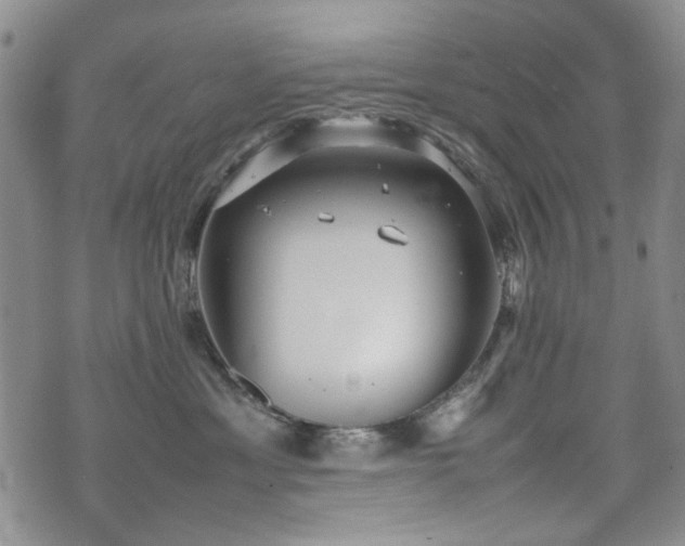 X0000074930429200609011055