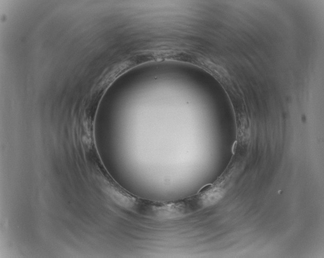 X0000074930430200609011055