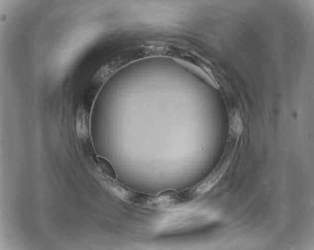 X0000074930431200609011055