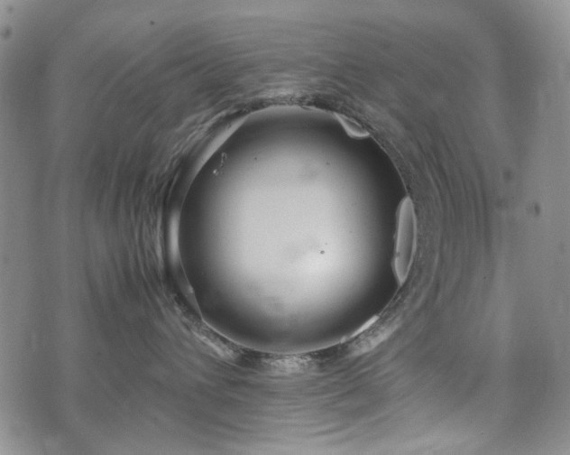 X0000074930432200609011055