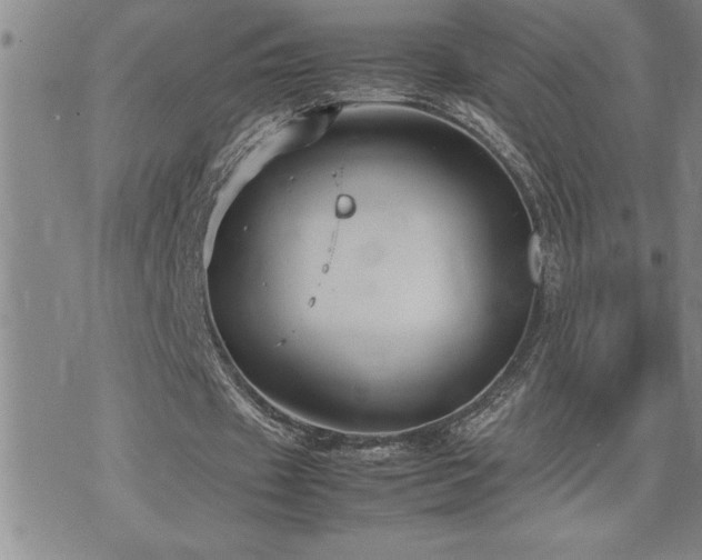 X0000074930433200609011054