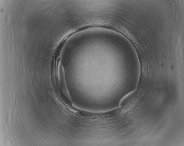 X0000074930434200609011054