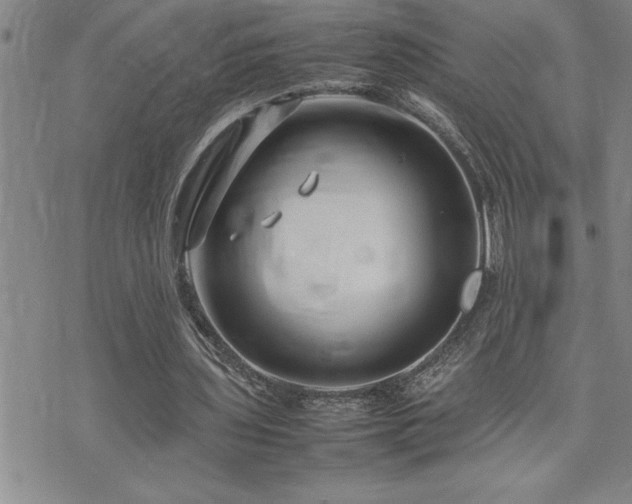 X0000074930435200609011054