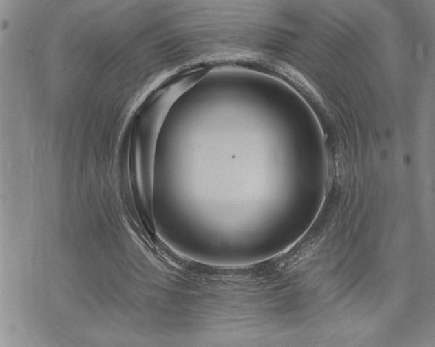 X0000074930436200609011054