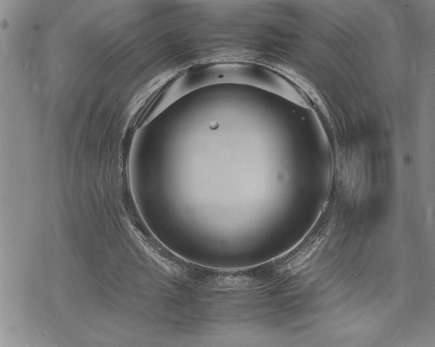 X0000074930437200609011054