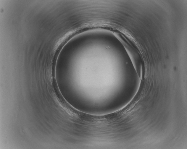 X0000074930438200609011054