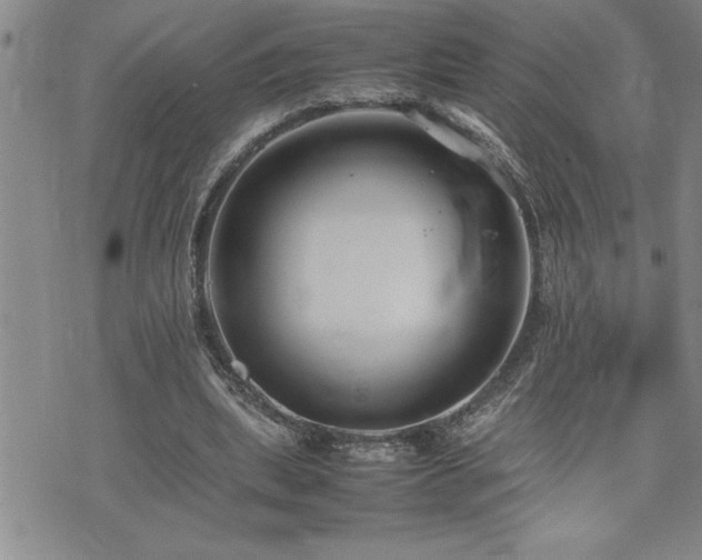 X0000074930439200609011054