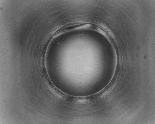 X0000074930441200609011054