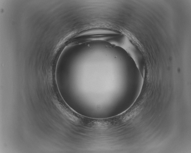 X0000074930442200609011054