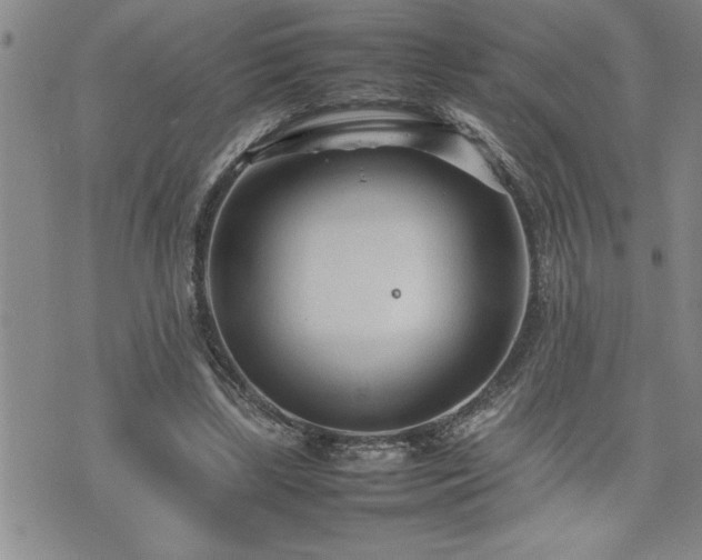 X0000074930443200609011054