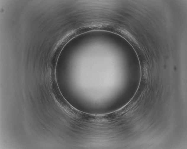 X0000074930444200609011054