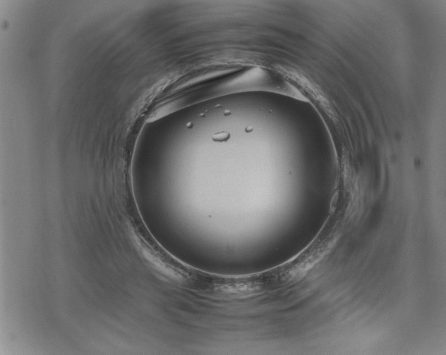 X0000074930445200609011054