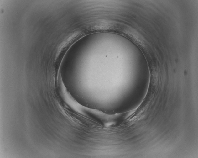 X0000074930446200609011054