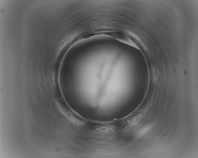 X0000074930447200609011055