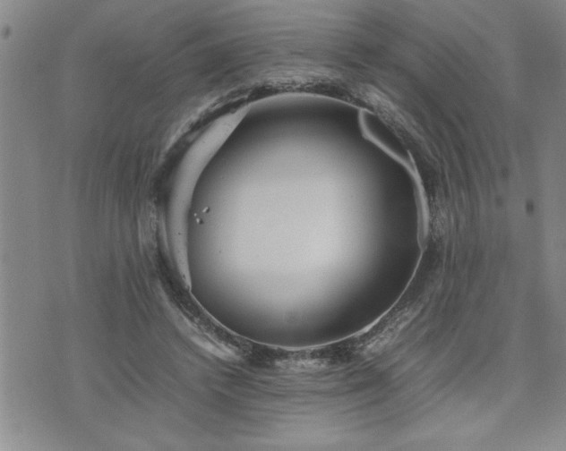 X0000074930448200609011055