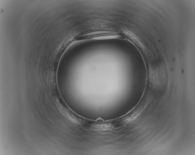 X0000074930449200609011055