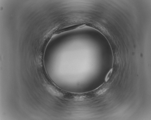 X0000074930450200609011055