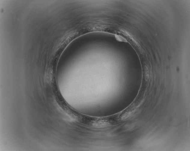 X0000074930451200609011055