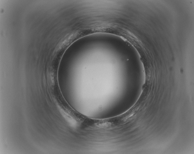 X0000074930452200609011055