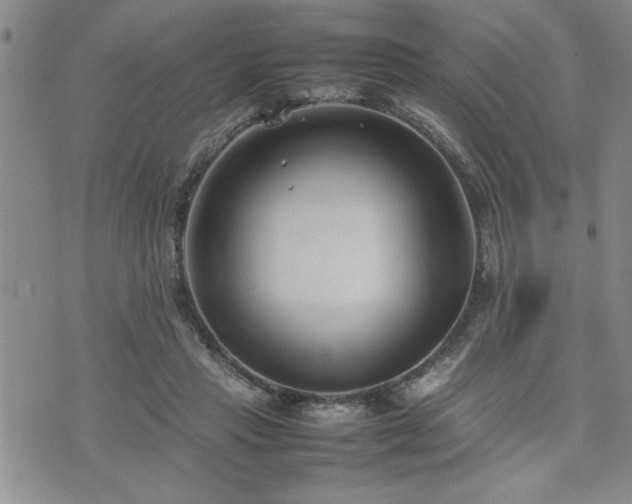 X0000074930453200609011055