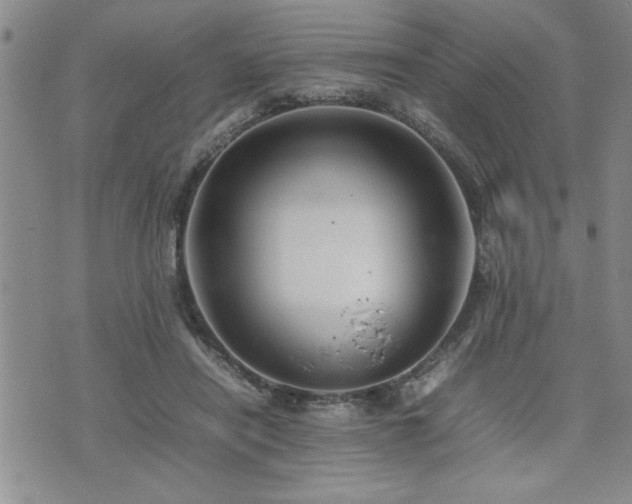 X0000074930454200609011055