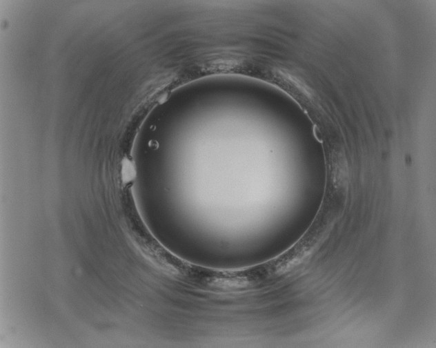 X0000074930455200609011055