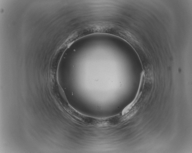 X0000074930456200609011055