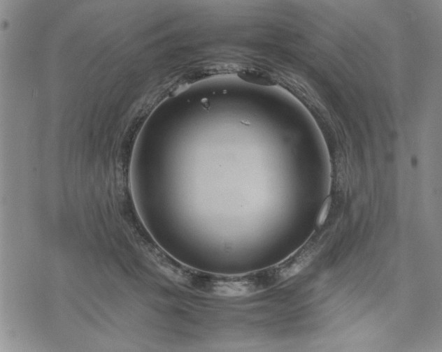 X0000074930457200609011055