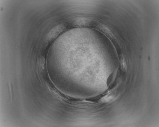 X0000074930458200609011055