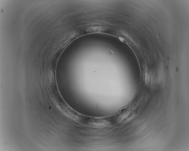 X0000074930459200609011055