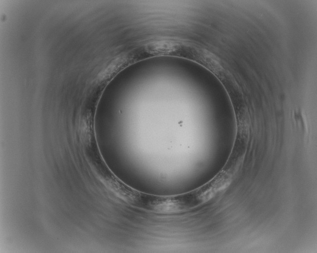 X0000074930460200609011055