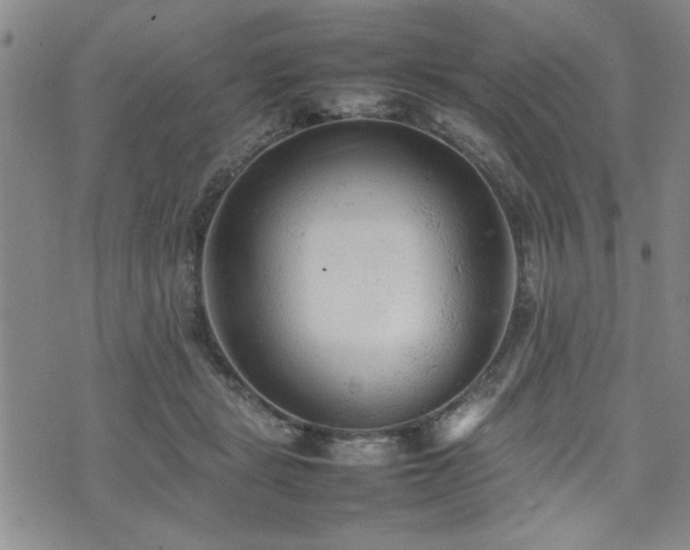 X0000074930461200609011055